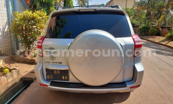 Buy Used Toyota RAV4 Silver Car in Yaounde in Central Cameroon Buy Used Toyota RAV4 Silver Car in Yaounde in Central Cameroon