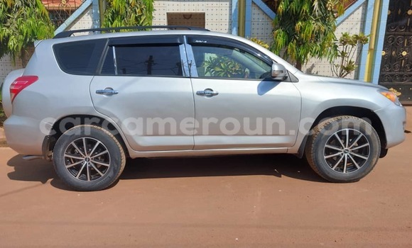 Buy Used Toyota RAV4 Silver Car in Yaounde in Central Cameroon Buy Used Toyota RAV4 Silver Car in Yaounde in Central Cameroon