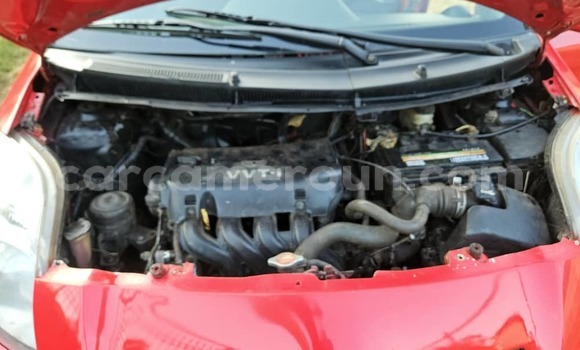 Buy Used Toyota Vitz Red Car in Yaounde in Central Cameroon Buy Used Toyota Vitz Red Car in Yaounde in Central Cameroon