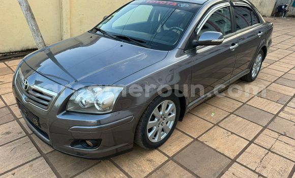 Buy Used Toyota Avensis Silver Car in Yaounde in Central Cameroon Buy Used Toyota Avensis Silver Car in Yaounde in Central Cameroon