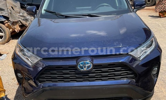 Acheter Occasion Voiture Toyota RAV4 Bleu à Yaoundé, Central Cameroon