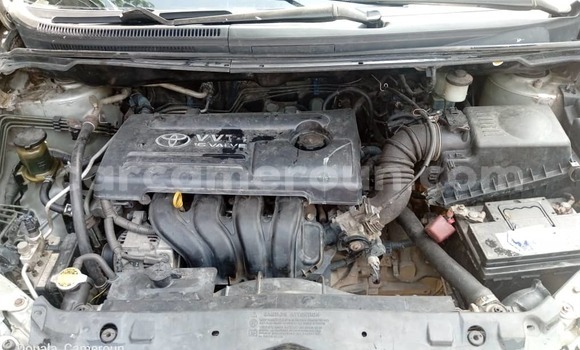 Acheter Occasion Voiture Toyota Corolla Verso Gris à Douala, Littoral Cameroon Acheter Occasion Voiture Toyota Corolla Verso Gris à Douala, Littoral Cameroon