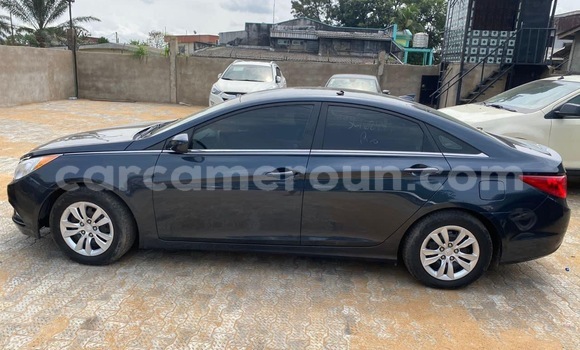 Buy Import Hyundai Sonata Blue Car in Douala in Littoral Cameroon Buy Import Hyundai Sonata Blue Car in Douala in Littoral Cameroon