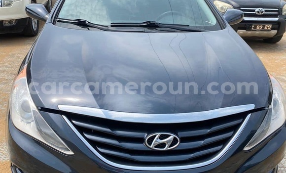 Buy Import Hyundai Sonata Blue Car in Douala in Littoral Cameroon Buy Import Hyundai Sonata Blue Car in Douala in Littoral Cameroon