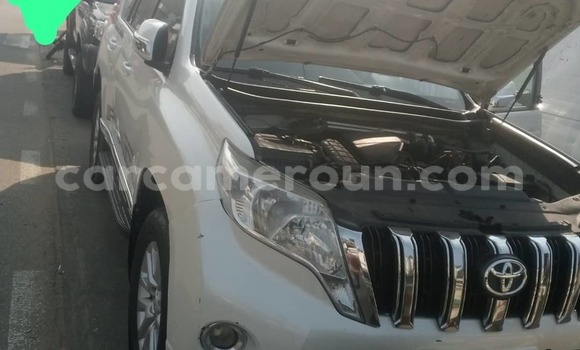 Buy Used Toyota Prado Silver Car in Douala in Littoral Cameroon Buy Used Toyota Prado Silver Car in Douala in Littoral Cameroon