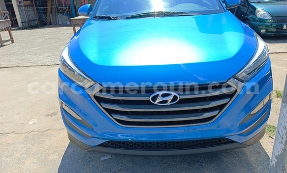 Acheter Neuf Voiture Hyundai Tucson Bleu à Douala, Littoral Cameroon