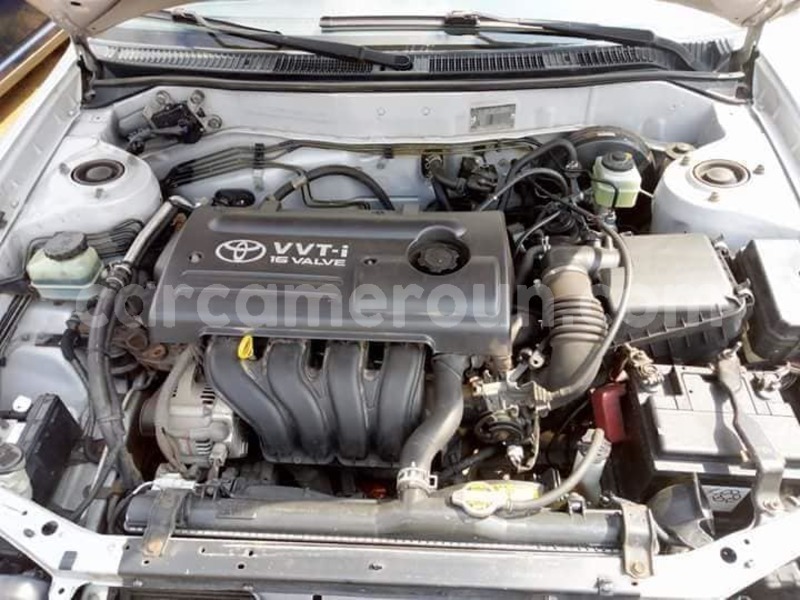 Big with watermark 40053775 2216504301710537 3962048910414839808 n