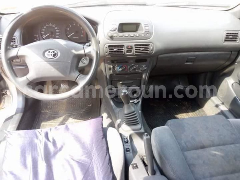 Big with watermark 40102046 2216504058377228 6351433191064076288 n