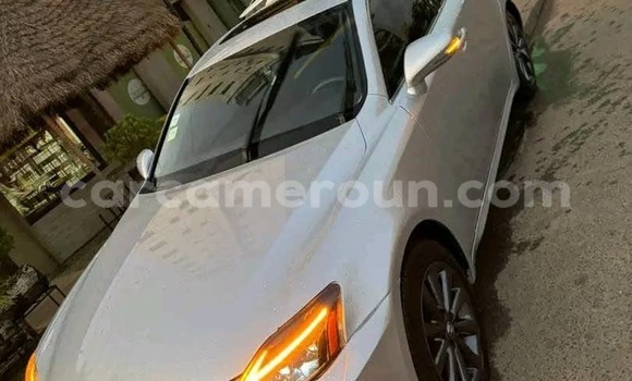 Buy Used Lexus IS Silver Car in Douala in Littoral Cameroon Buy Used Lexus IS Silver Car in Douala in Littoral Cameroon