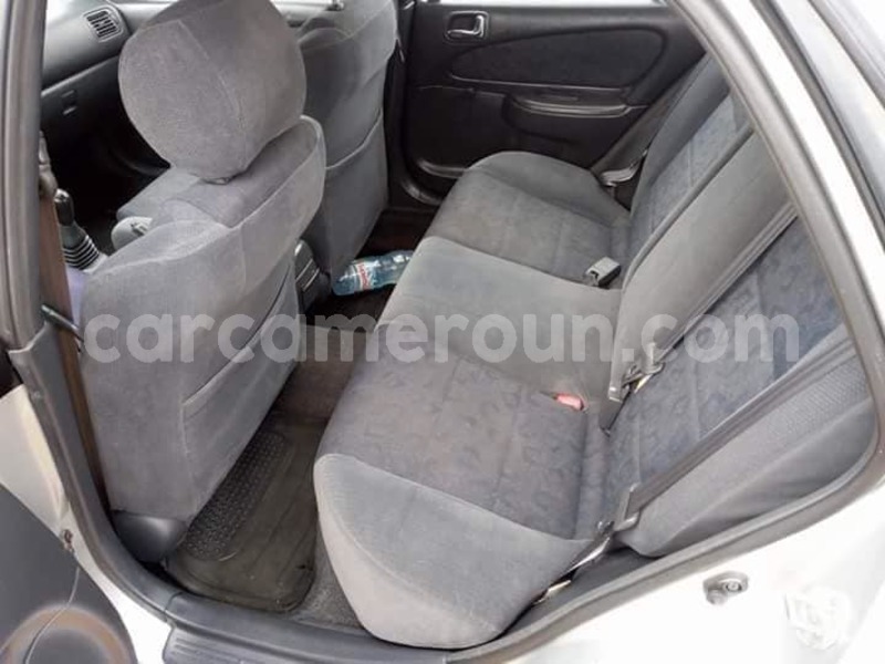 Big with watermark 40027887 2216503908377243 5404087860833812480 n