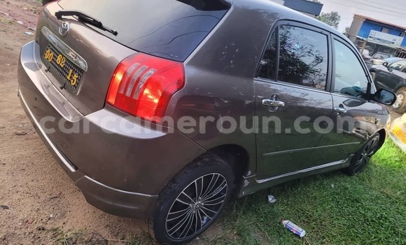 Buy Import Toyota Runx Other Car in Douala in Littoral Cameroon Buy Import Toyota Runx Other Car in Douala in Littoral Cameroon