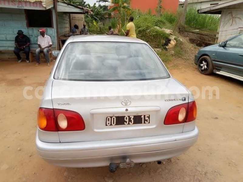 Big with watermark 39962598 2216503625043938 9102848979581796352 n