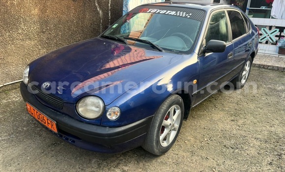 Buy Used Toyota Corolla Blue Car in Douala in Littoral Cameroon