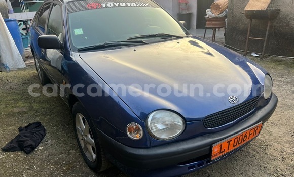 Buy Used Toyota Corolla Blue Car in Douala in Littoral Cameroon Buy Used Toyota Corolla Blue Car in Douala in Littoral Cameroon