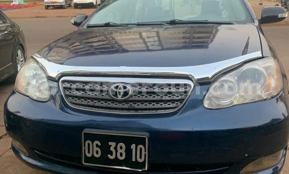 Buy Used Toyota Corolla Blue Car in Yaounde in Central Cameroon