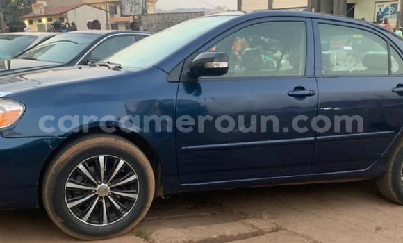 Buy Used Toyota Corolla Blue Car in Yaounde in Central Cameroon Buy Used Toyota Corolla Blue Car in Yaounde in Central Cameroon