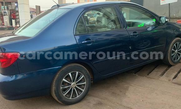 Buy Used Toyota Corolla Blue Car in Yaounde in Central Cameroon Buy Used Toyota Corolla Blue Car in Yaounde in Central Cameroon