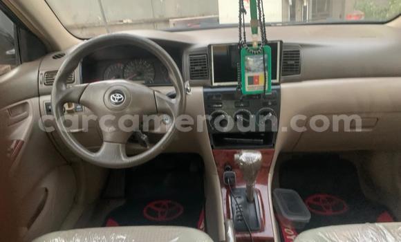 Buy Used Toyota Corolla Blue Car in Yaounde in Central Cameroon Buy Used Toyota Corolla Blue Car in Yaounde in Central Cameroon
