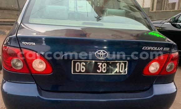 Buy Used Toyota Corolla Blue Car in Yaounde in Central Cameroon Buy Used Toyota Corolla Blue Car in Yaounde in Central Cameroon