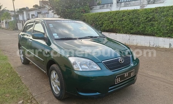 Buy Used Toyota Corolla Green Car in Yaounde in Central Cameroon Buy Used Toyota Corolla Green Car in Yaounde in Central Cameroon