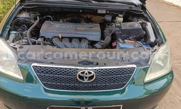 Buy Used Toyota Corolla Green Car in Yaounde in Central Cameroon Buy Used Toyota Corolla Green Car in Yaounde in Central Cameroon
