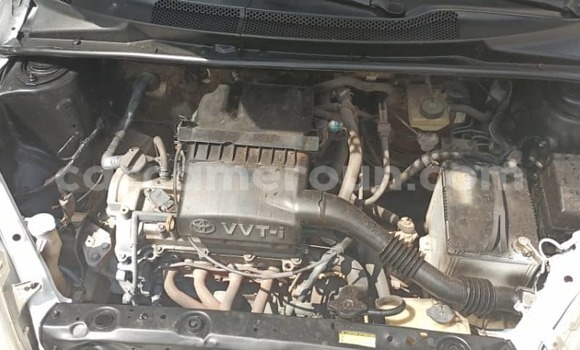 Buy Used Toyota Yaris White Car in Yaounde in Central Cameroon Buy Used Toyota Yaris White Car in Yaounde in Central Cameroon