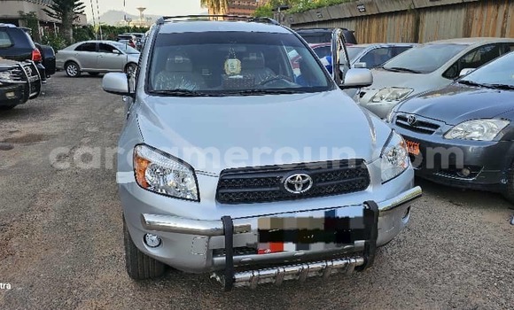 Buy Used Toyota RAV4 Silver Car in Yaounde in Central Cameroon
