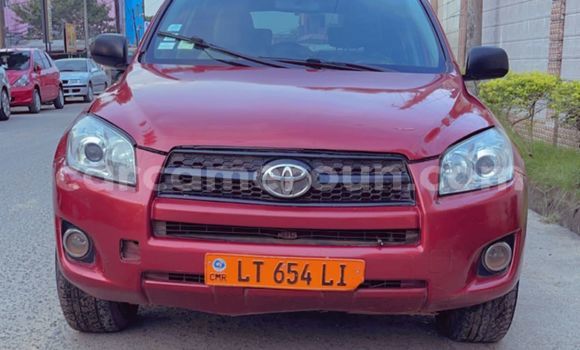 Buy Used Toyota RAV4 Red Car in Douala in Littoral Cameroon