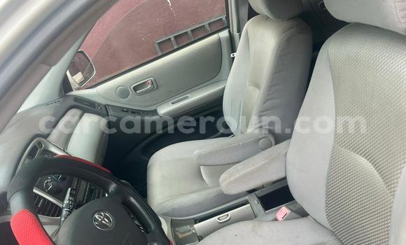 Acheter Occasion Voiture Toyota Highlander Gris à Douala, Littoral Cameroon Acheter Occasion Voiture Toyota Highlander Gris à Douala, Littoral Cameroon
