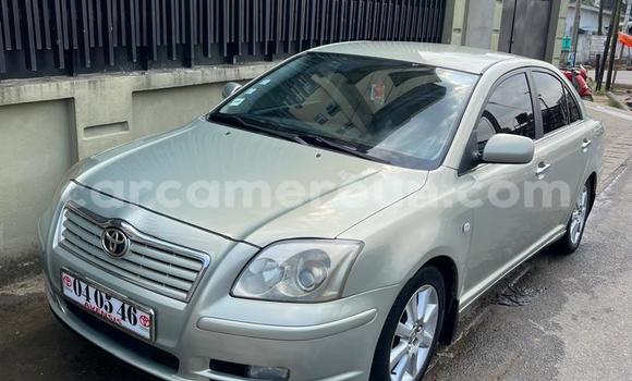 Buy Used Toyota Avensis Silver Car in Douala in Littoral Cameroon