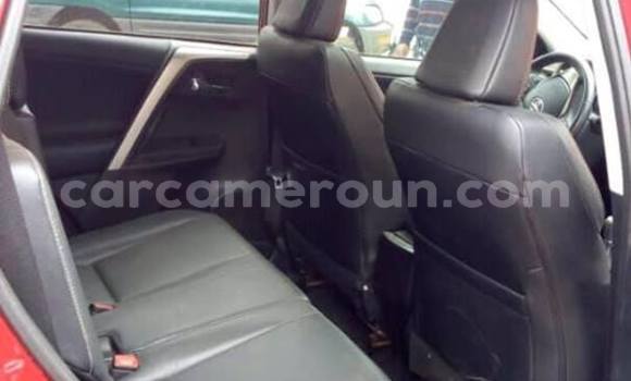 Buy Used Toyota RAV4 Red Car in Yaounde in Central Cameroon Buy Used Toyota RAV4 Red Car in Yaounde in Central Cameroon