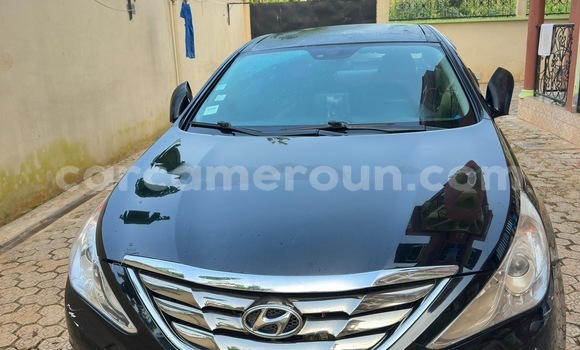 Buy New Hyundai Sonata Black Car in Yaounde in Central Cameroon Buy New Hyundai Sonata Black Car in Yaounde in Central Cameroon