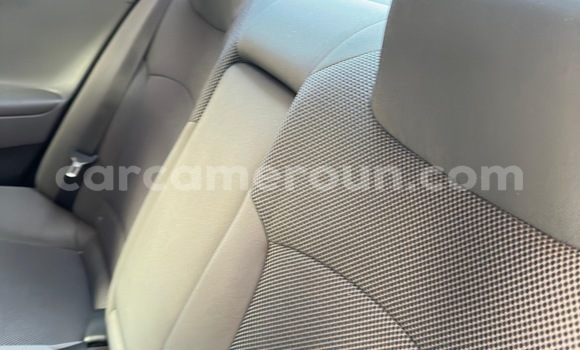Buy New Hyundai Sonata Black Car in Yaounde in Central Cameroon Buy New Hyundai Sonata Black Car in Yaounde in Central Cameroon