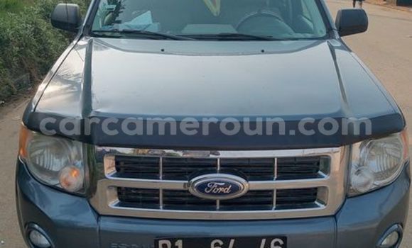 Sayi Na hannu Ford Escape Brown Mota in Douala a Ƙasar Kamaru