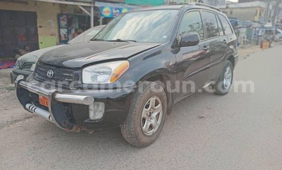 Buy Used Toyota RAV4 Other Car in Douala in Littoral Cameroon