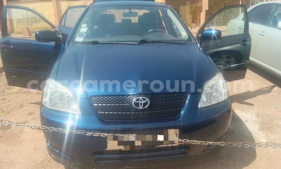 Buy Used Toyota Corolla Blue Car in Yaounde in Central Cameroon