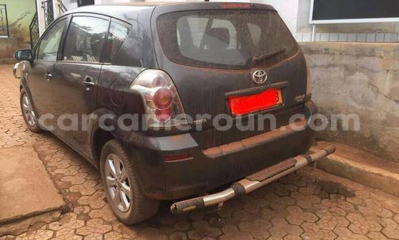 Buy Used Toyota Corolla Black Car in Yaounde in Central Cameroon Buy Used Toyota Corolla Black Car in Yaounde in Central Cameroon