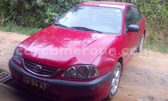 Buy Used Toyota Avensis Red Car in Yaounde in Central Cameroon Buy Used Toyota Avensis Red Car in Yaounde in Central Cameroon