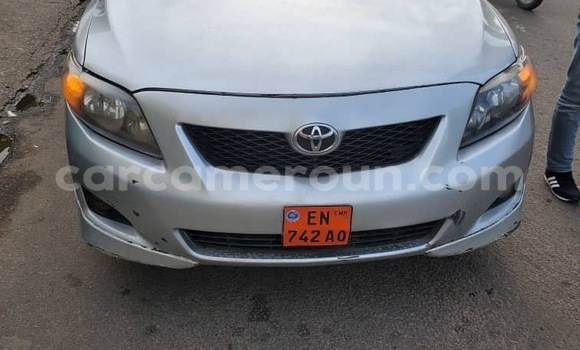 Acheter Occasion Voiture Toyota Corolla Gris à Douala, Littoral Cameroon
