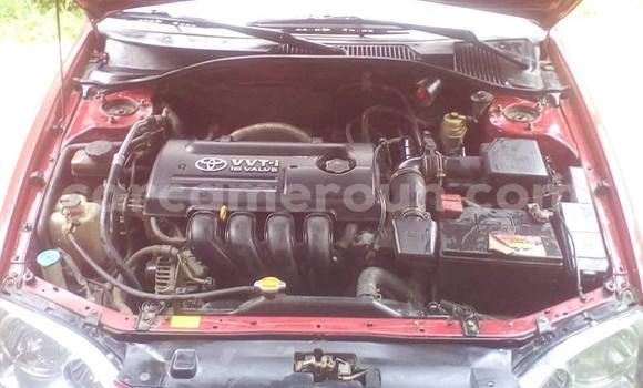 Buy Used Toyota Avensis Red Car in Yaounde in Central Cameroon Buy Used Toyota Avensis Red Car in Yaounde in Central Cameroon