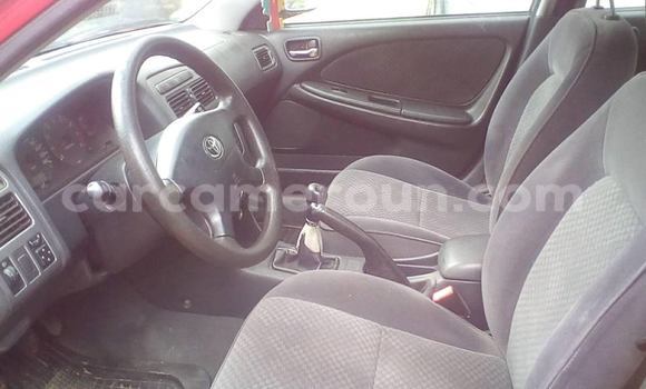 Buy Used Toyota Avensis Red Car in Yaounde in Central Cameroon Buy Used Toyota Avensis Red Car in Yaounde in Central Cameroon