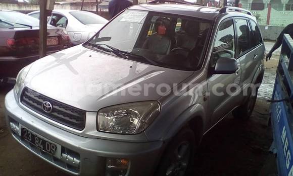 Buy Used Toyota RAV4 Silver Car in Yaounde in Central Cameroon Buy Used Toyota RAV4 Silver Car in Yaounde in Central Cameroon