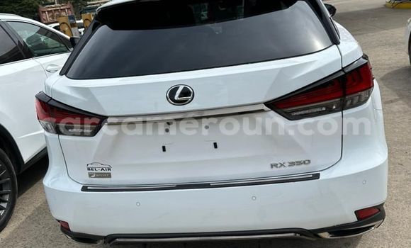 Acheter Import Voiture Lexus RX 350 Blanc à Douala, Littoral Cameroon Acheter Import Voiture Lexus RX 350 Blanc à Douala, Littoral Cameroon