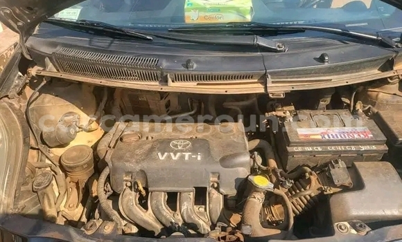 Buy Used Toyota Yaris Black Car in Yaounde in Central Cameroon Buy Used Toyota Yaris Black Car in Yaounde in Central Cameroon