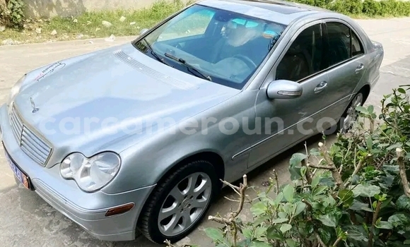 Buy Used Mercedes-Benz E200 White Car in Yaounde in Central Cameroon Buy Used Mercedes-Benz E200 White Car in Yaounde in Central Cameroon