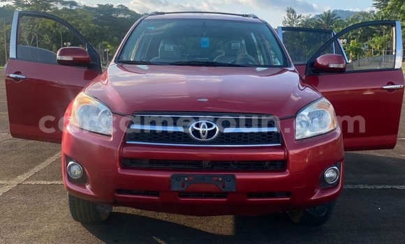 Buy Import Toyota RAV4 Red Car in Douala in Littoral Cameroon