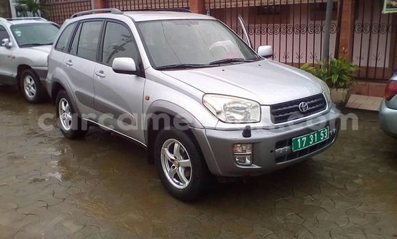 Buy Used Toyota RAV4 Silver Car in Yaounde in Central Cameroon Buy Used Toyota RAV4 Silver Car in Yaounde in Central Cameroon