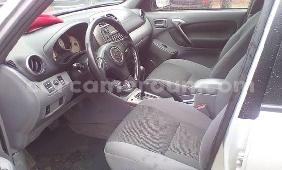 Buy Used Toyota RAV4 Silver Car in Yaounde in Central Cameroon Buy Used Toyota RAV4 Silver Car in Yaounde in Central Cameroon