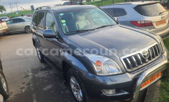 Sayi Na hannu Toyota Prado Sauran Mota in Douala a Ƙasar Kamaru