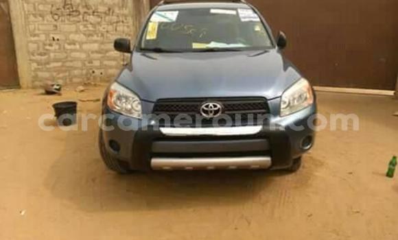 Buy Used Toyota RAV4 Other Car in Yaounde in Central Cameroon Buy Used Toyota RAV4 Other Car in Yaounde in Central Cameroon